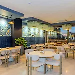Dedem Premium -