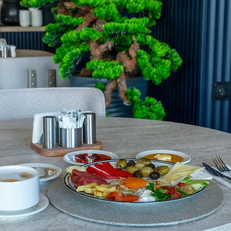 Hotel Dedem Premium - Çorlu