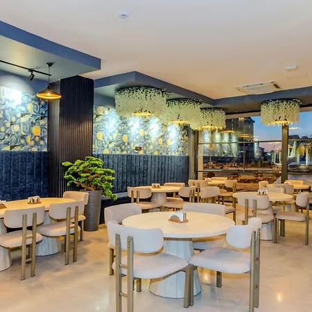 Dedem Premium -